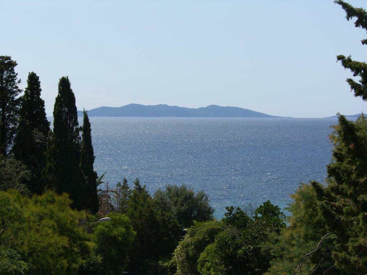 Villa Adriandre Le Le Rayol-Canadel-sur-Mer Eksteriør billede