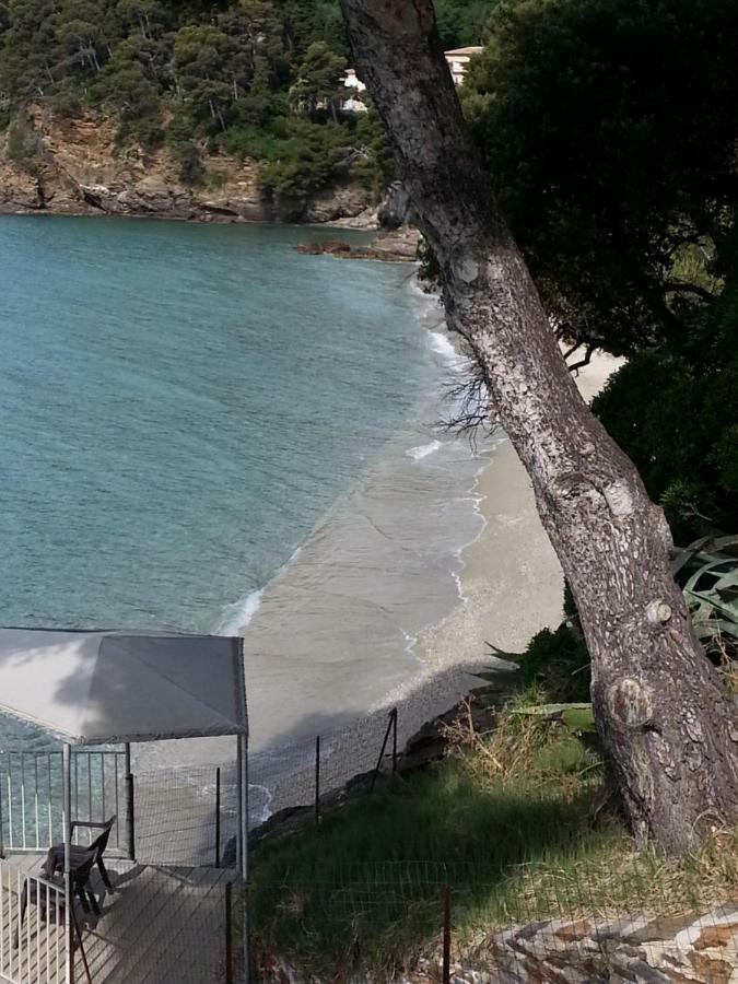 Villa Adriandre Le Le Rayol-Canadel-sur-Mer Eksteriør billede