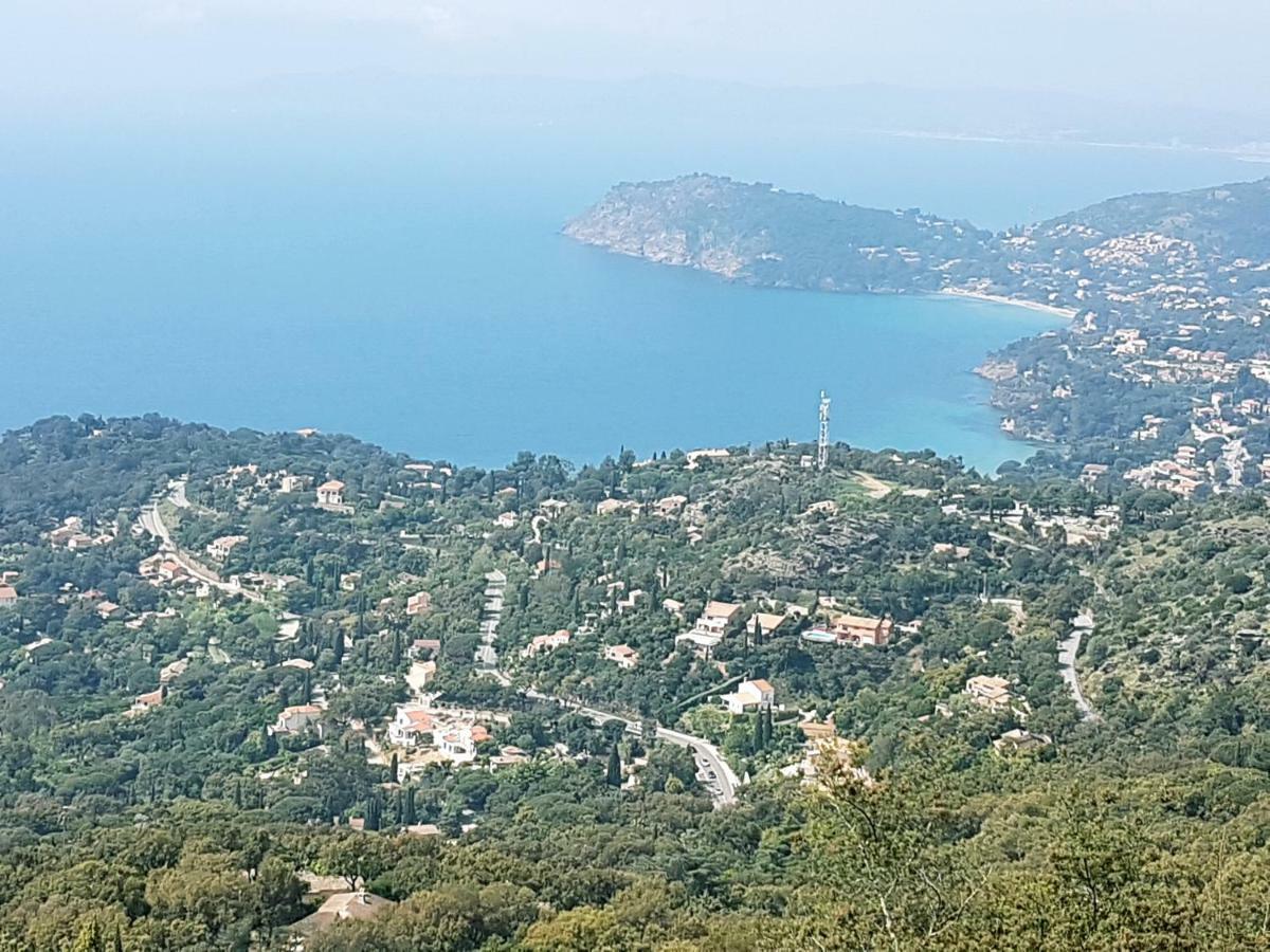 Villa Adriandre Le Le Rayol-Canadel-sur-Mer Eksteriør billede