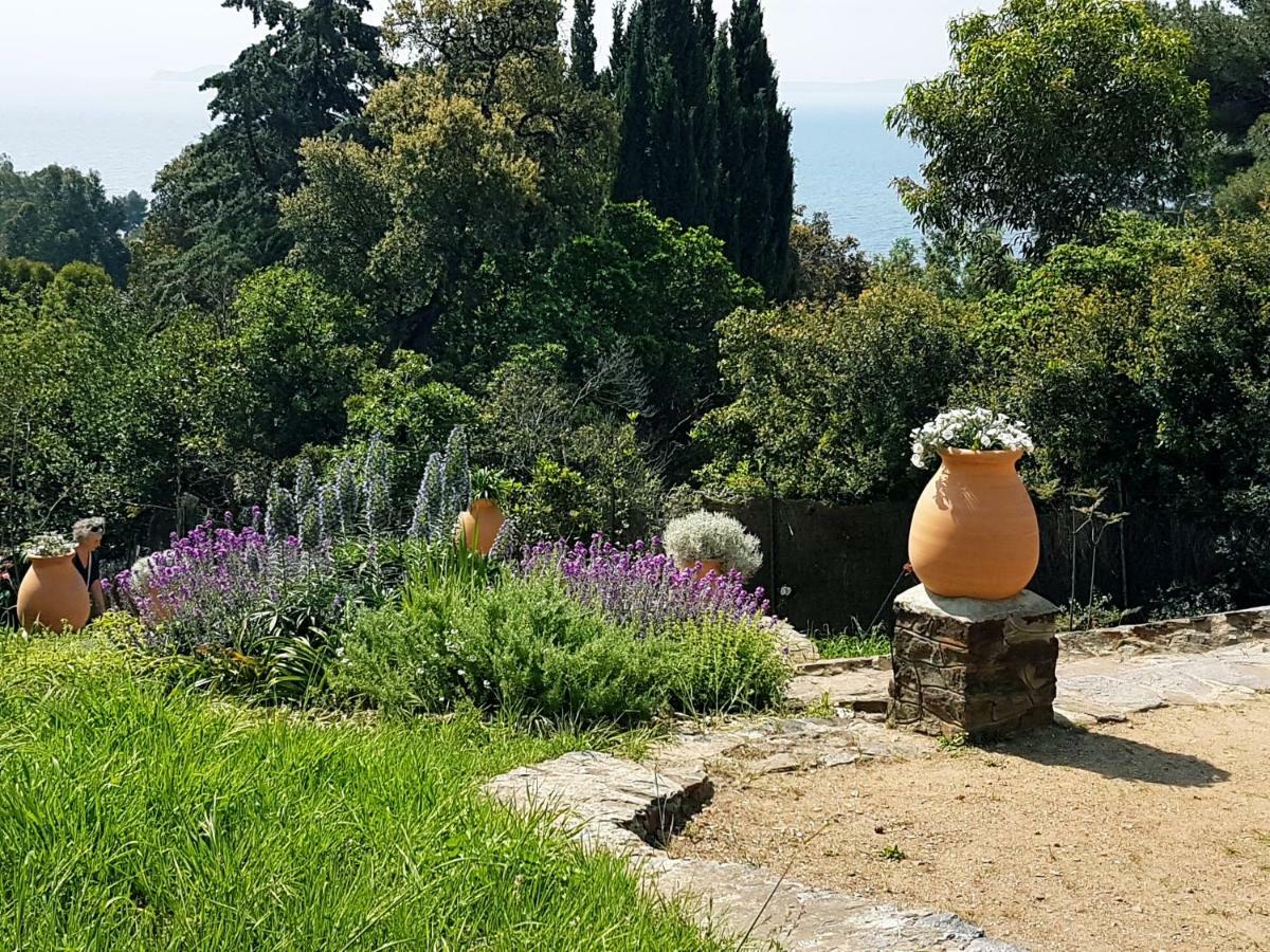 Villa Adriandre Le Le Rayol-Canadel-sur-Mer Eksteriør billede